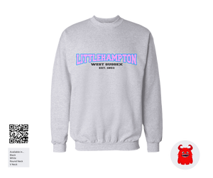 Littlehampton Sweat Shirts (Icon style colour logo)
